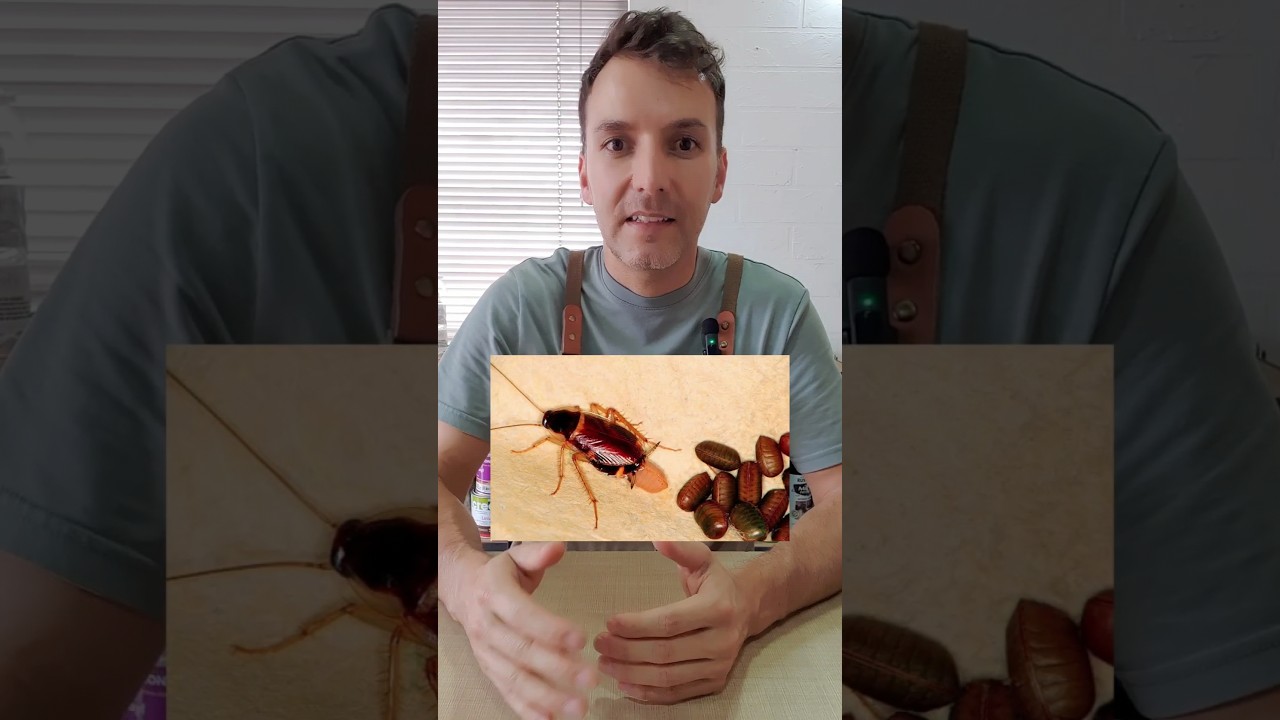 Impacto del uso intensivo del agua caliente en desagües